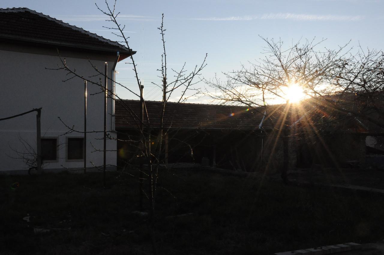 Guest House Art Eco Land Ganchovets Exterior foto